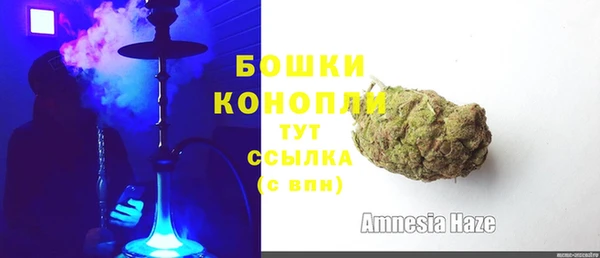 spice Пересвет