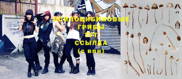 spice Пересвет