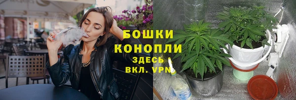 круглые Переславль-Залесский