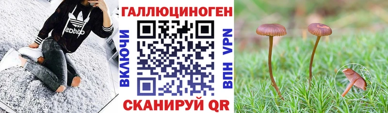 Галлюциногенные грибы ЛСД  Катайск 